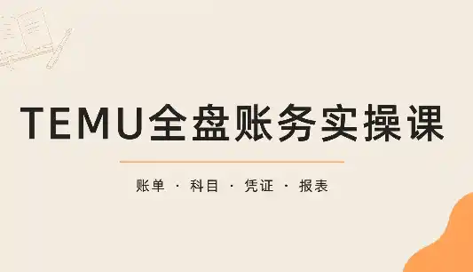 TEMU全盘账务实操课：账单导出、科目设置、利润核算-智云副业