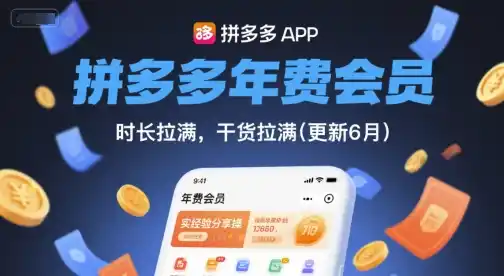 拼多多年费会员，实经验分享操，时长拉满，干货拉满(更新261017)-智云副业
