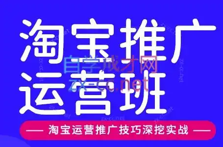 美迪电商·淘宝高级运营班+推广运营班(更新10月)-智云副业