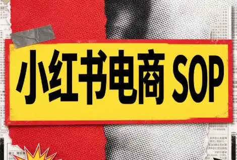 书豪必胜小红书电商sop(更新9月)-智云副业